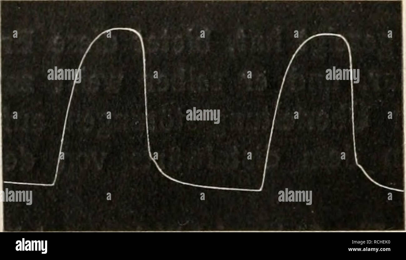 . Die Physiologie des Kreislaufes. Système cardiovasculaire. . Veuillez noter que ces images sont extraites de la page numérisée des images qui peuvent avoir été retouchées numériquement pour plus de lisibilité - coloration et l'aspect de ces illustrations ne peut pas parfaitement ressembler à l'œuvre originale.. Tigerstedt, Robert, 1853-1923. Berlin : Vereinigung Wissensachaftlicher Verleger Walter de Gruyter Banque D'Images