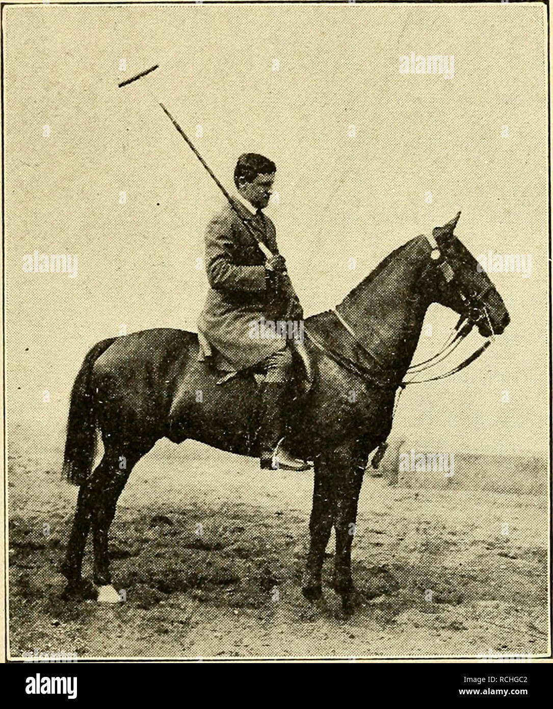 Éléments d'hippology. Les chevaux. Éléments d'HIPPOLOGY. 15 qui se sont  révélés utiles pour cross-country galopante. C'est la performance qui fait  un chasseur. Le poney de polo est un autre type d'agrafage