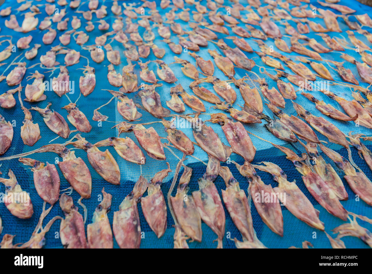 Salade Ao village de pêcheurs sur l'île de Koh Kood en Thaïlande. Libre de su calmar séché. Banque D'Images