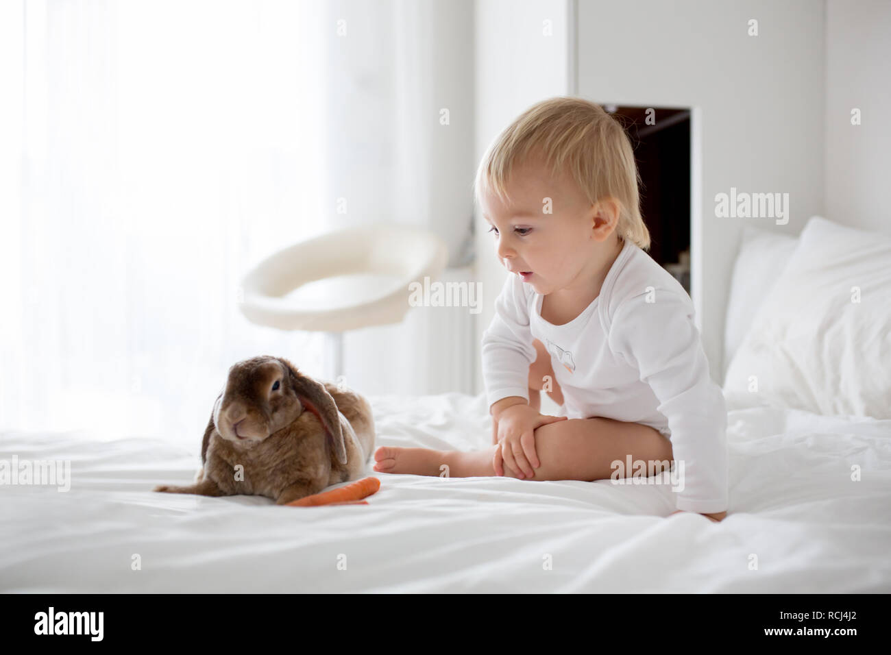 Mignon petit bébé garçon, alimentation animal lapin avec carotte à la chambre à coucher de soleil Banque D'Images