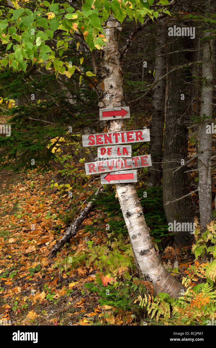 Un signe dans un bois sur la péninsule gaspésienne du Québec, Canada. Il dit 'Sentier de la Revolte'. Banque D'Images