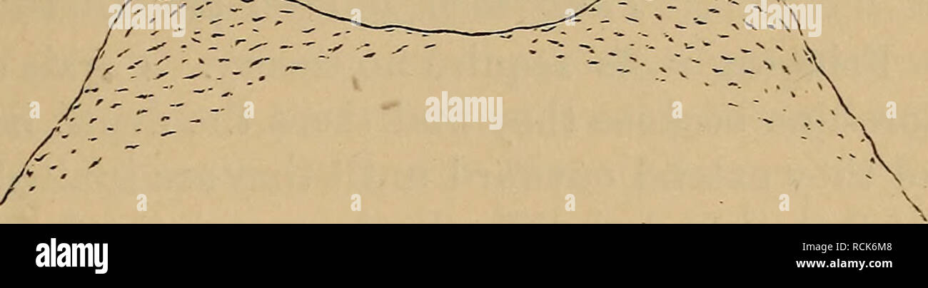 . Éléments de géologie : un texte-livre pour les collèges et pour le lecteur. La géologie. CORAL EEEFS ET LES ÎLES. 149. Fig. 122. qui le récif est jointe. Imaginez une teinte circulaire de disjoncteurs comme une gerbe de neige sur la mer, indiquant un sous-marin circulaire ridge (la cor- al reef) gemmed comme avant avec . J^M. ^^^ vague-isl formé- ste ; et dans le cercle, un la- goon d'eau placide vingt ou trente brasses de profondeur (Fig. 121). C'est un sous-marin de l'urne debout dans l'eau, l'insondable comme vu dans la section Fig. 122. Pendant les pauses dans le récif  ^  les navires entrent dans le cercle et trouver bon port. Par moi Banque D'Images