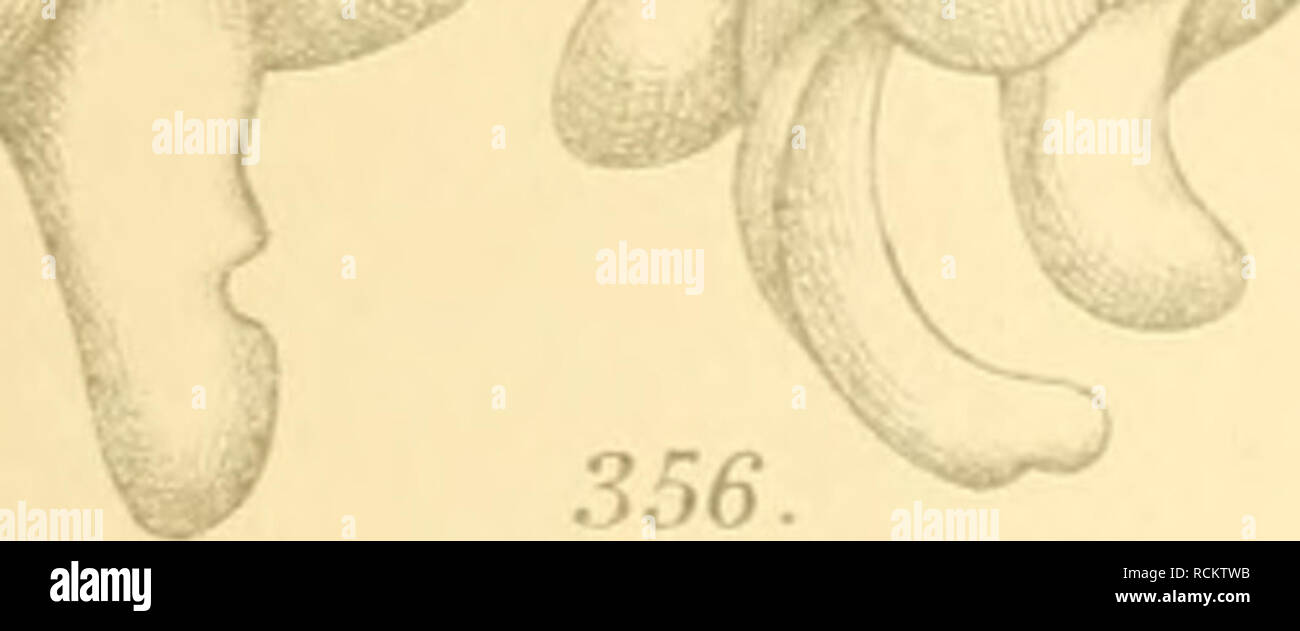 Xj 12 Banque D Image Et Photos Alamy