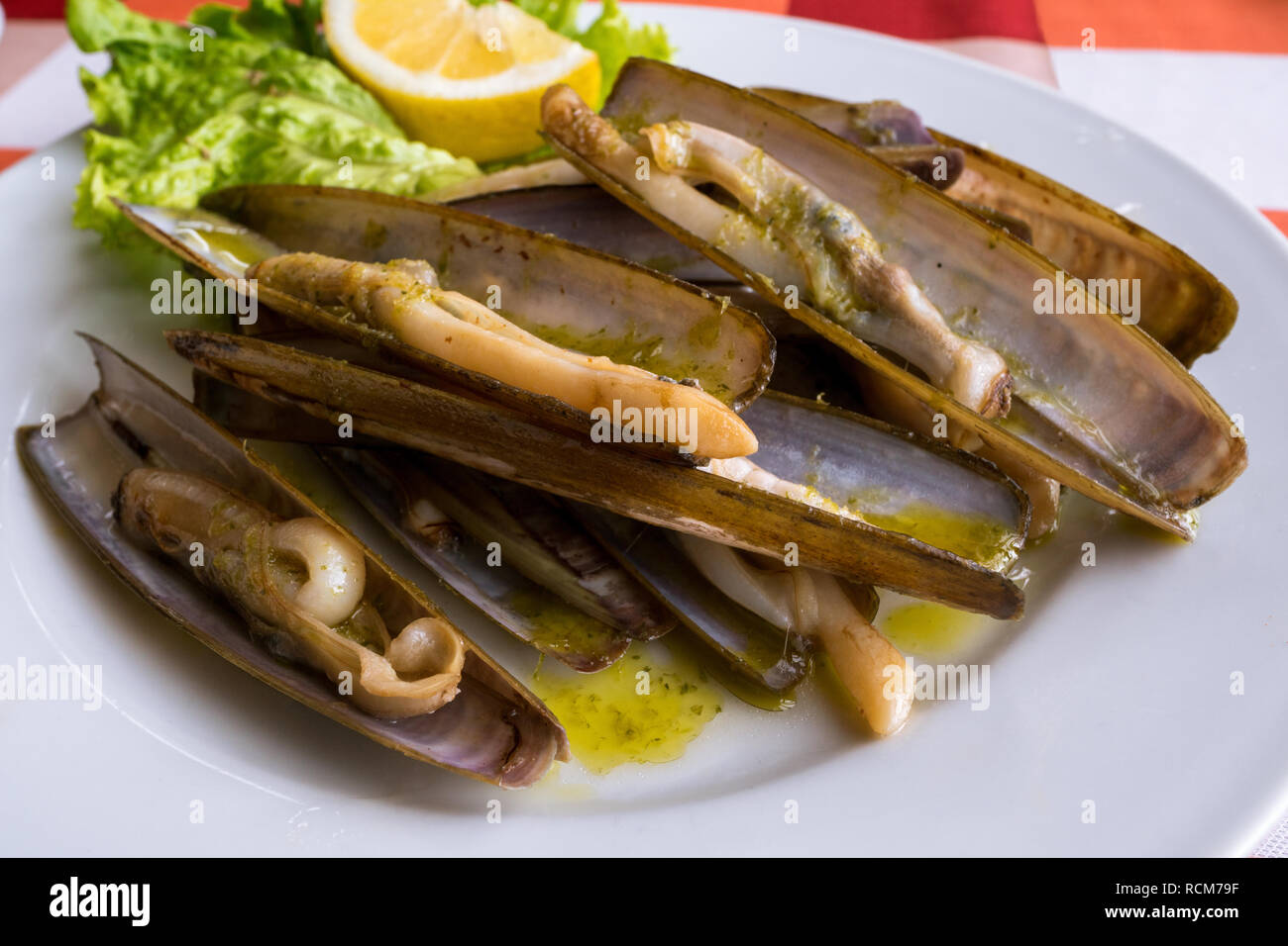 Une assiette de palourdes rasoir (navajas) servi dans un restaurant à Combarro, Galice, Espagne Banque D'Images