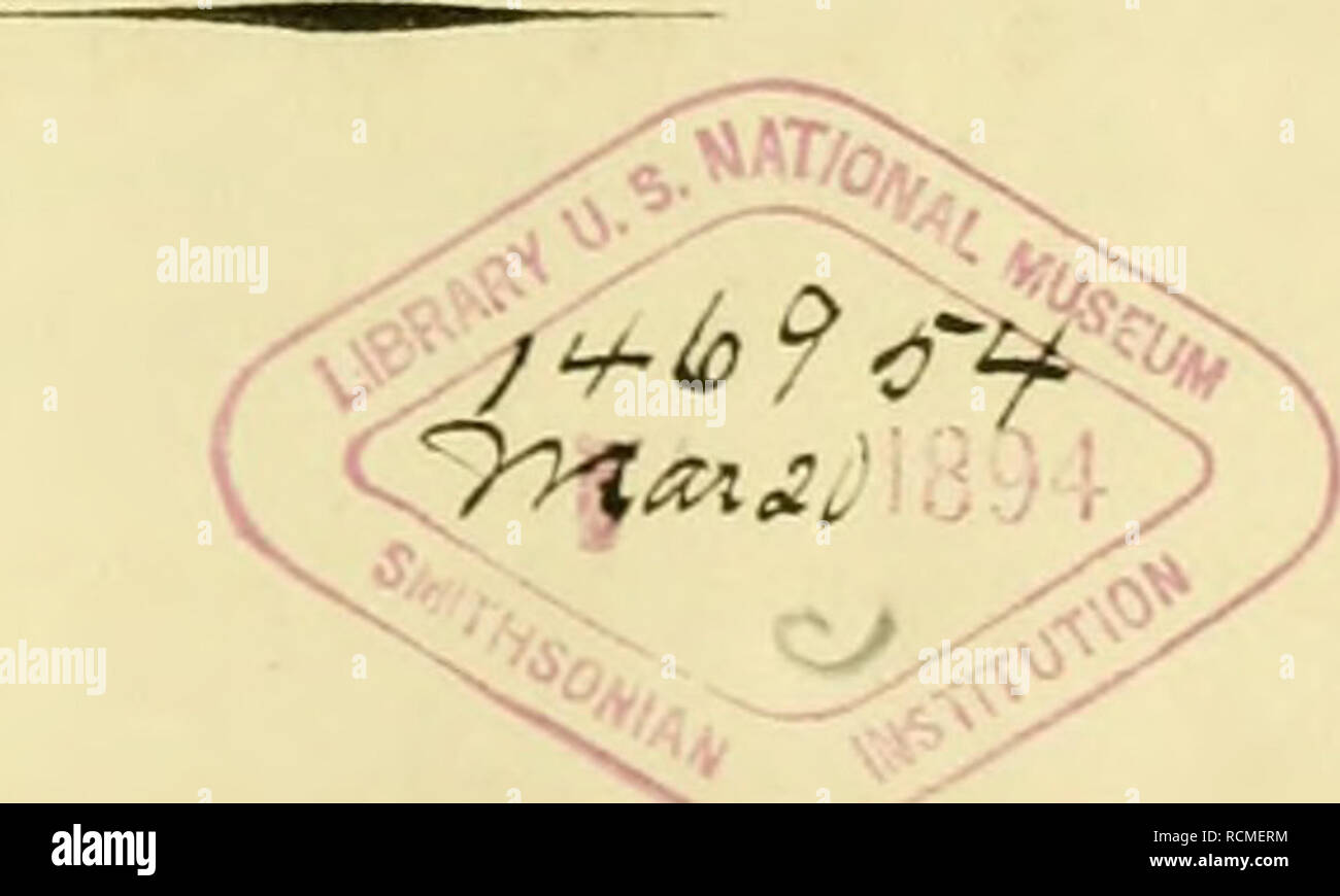 . Die Flussperlmuscheln (Unio et Hyria.) dans Abbildungen nach der Natur mit Beschreibungen. Unionidae ; Unio ; Prisodon ; moules d'eau douce. •&Gt ;^&Lt ; d i e ffoi 1F II s s p e r i m u s c h e 111 (Uiiio et Hyria. iii) Abliildiiiigcii Hatiir y mit nach der TOD / Beschreibungen Dr H. €. Hüstcr.. ]Lüriiberg 184S. Verlag von Bauer und Raspe. (Julius Mer-j.) Sectionil Library- Dept.ofM : ! !. U.S.N.M. Collection Lea.. Veuillez noter que ces images sont extraites de la page numérisée des images qui peuvent avoir été retouchées numériquement pour plus de lisibilité - coloration et l'aspect de ces illustrations ne peut pas perfe Banque D'Images