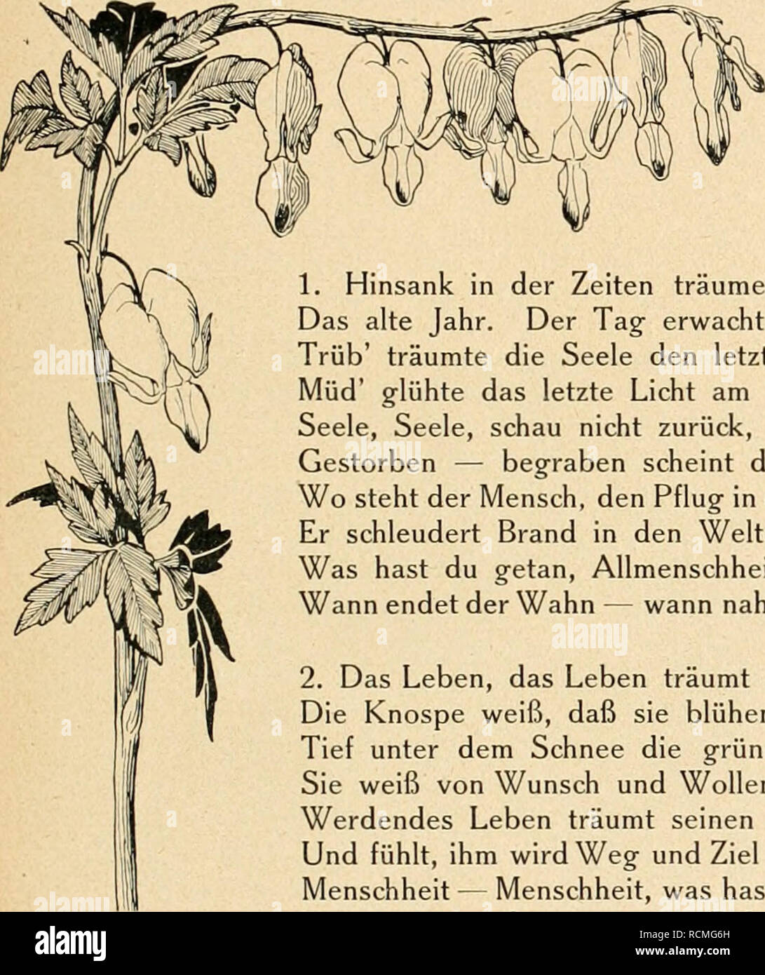 . Die Gartenwelt. Le jardinage. Illustrierte Wochenschrift für den gesamten Gartenbau. Jahrgang XX. 7. 08 janvier 1916. N°1. Nadidruck Nadibildang et aus dem Inhalte dieser Zeitschrift verfolgt werden. strafrechtlich. "EW YO"ff lOlö 1. Dans Hinsank träumende Nacht der Zeiten Das alte Jahr. Der Tag erwacht. Trüb' träumte die Seele den letzten Traum, Müd' glühte das letzte Licht am Baum. - Seele, Seele, schau nicht zurück, Gestorben - begraben scheint das Glück. Wo steht der Mensch, den Prinzen der en main ? Dans schleudert er den Weltenbrand de marque. A consulter, Allmenschheit as du du - Wann endet der Wahn Banque D'Images