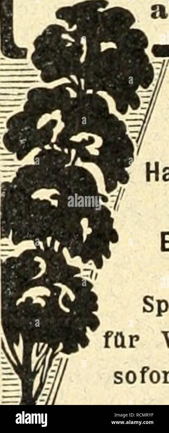 Die Gartenkunst Jardins De Paysage L Europe Xaunucfua Eiu Jlienstedten Tcha Tein Labtf Actchta Nfticr A C Unb Tsflanjcnllcbbaber Efutb Feinet Vom Baumfcbulcn Ba Lft Lt Bft Ein A A A Vorra Finb Gute A Te Dans Anaborcn Aoen A T Aub