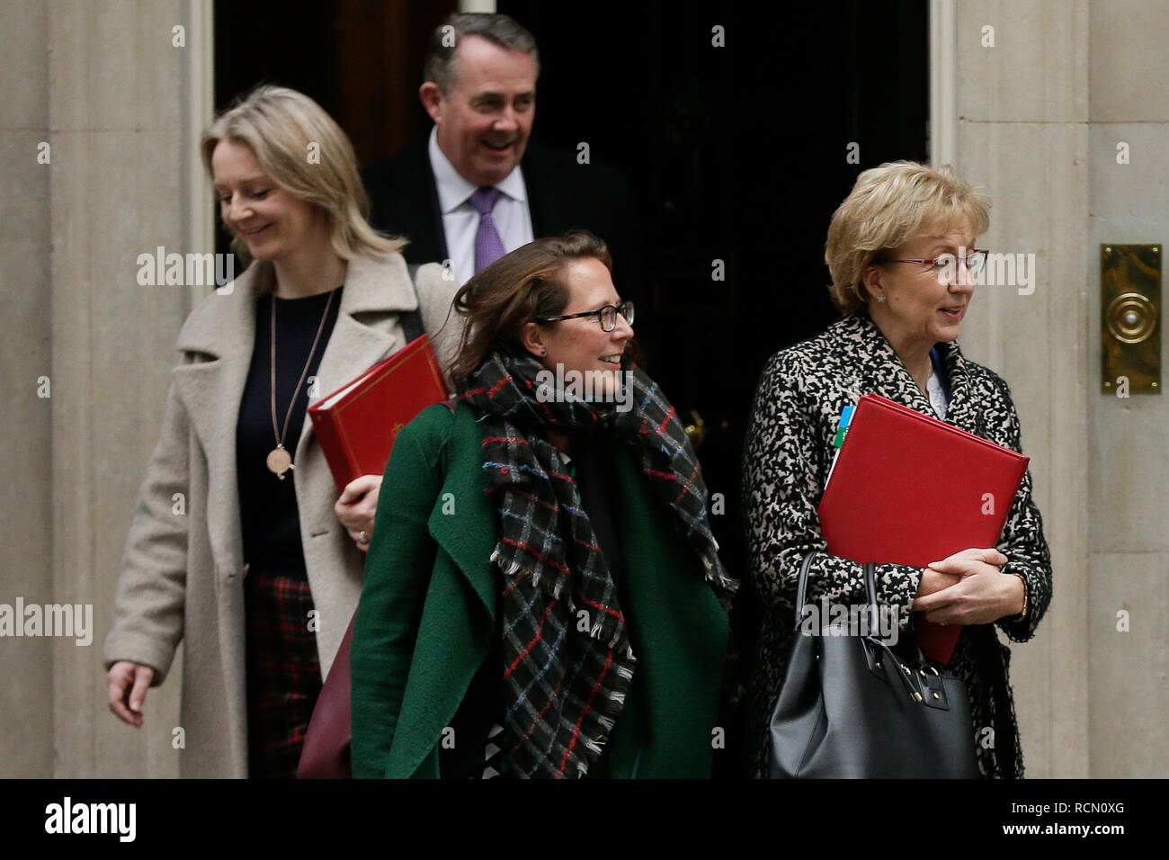 Londres, Royaume-Uni. 15 Jan, 2019. Le chef de la Chambre des communes Andrea Leadsom (1e R), leader de la Chambre des Lords Baronne Evans de Bowes Park (2e R), secrétaire du Commerce International (2e liam Fox, L) et Secrétaire en chef au Trésor Elizabeth Truss (1ère L) le congé après une réunion du cabinet, au 10 Downing Street à Londres, Grande-Bretagne, le 15 janvier. 2019. Un retard de l'un vote parlementaire le Brexit transaction est prévue pour le mardi. Crédit : Tim Irlande/Xinhua/Alamy Live News Banque D'Images