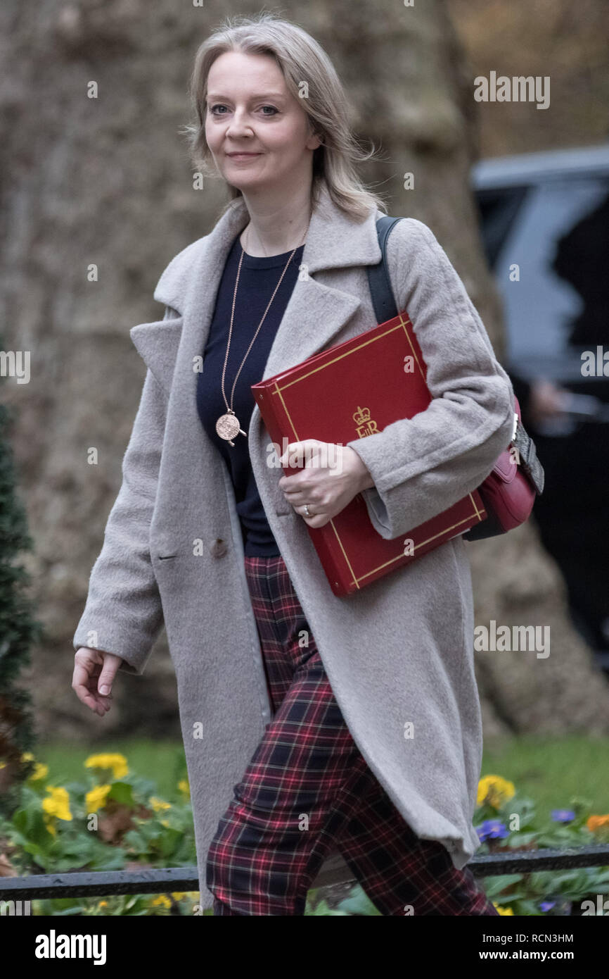 Londres, Royaume-Uni. 15 janvier, 2019. Les ministres arrivent pour la réunion hebdomadaire du cabinet au 10 Downing Street le jour de la "signifiante voix" du premier ministre sur l'Brexit Theresa peut traiter de retrait. Crédit : Guy Josse/Alamy Live News Banque D'Images