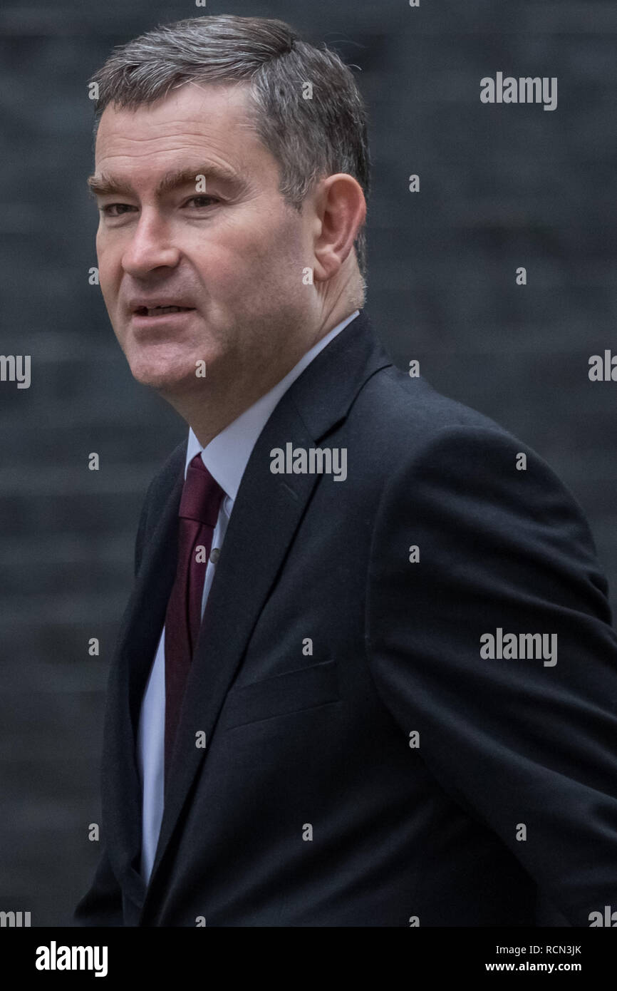 Londres, Royaume-Uni. 15 janvier, 2019. Les ministres arrivent pour la réunion hebdomadaire du cabinet au 10 Downing Street le jour de la "signifiante voix" du premier ministre sur l'Brexit Theresa peut traiter de retrait. Crédit : Guy Josse/Alamy Live News Banque D'Images