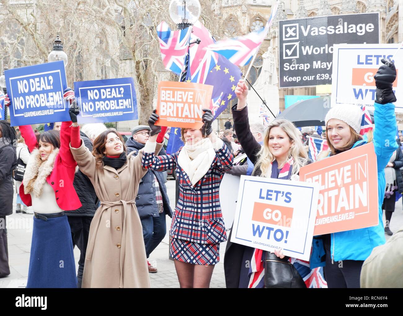 Londres, Royaume-Uni. 15 Jan 2019. Brexit manifestants devant les Chambres du Parlement, Londres (UK). Le mardi 15 janvier 2019. Credit : Jonathan Jones/Alamy Live News Banque D'Images