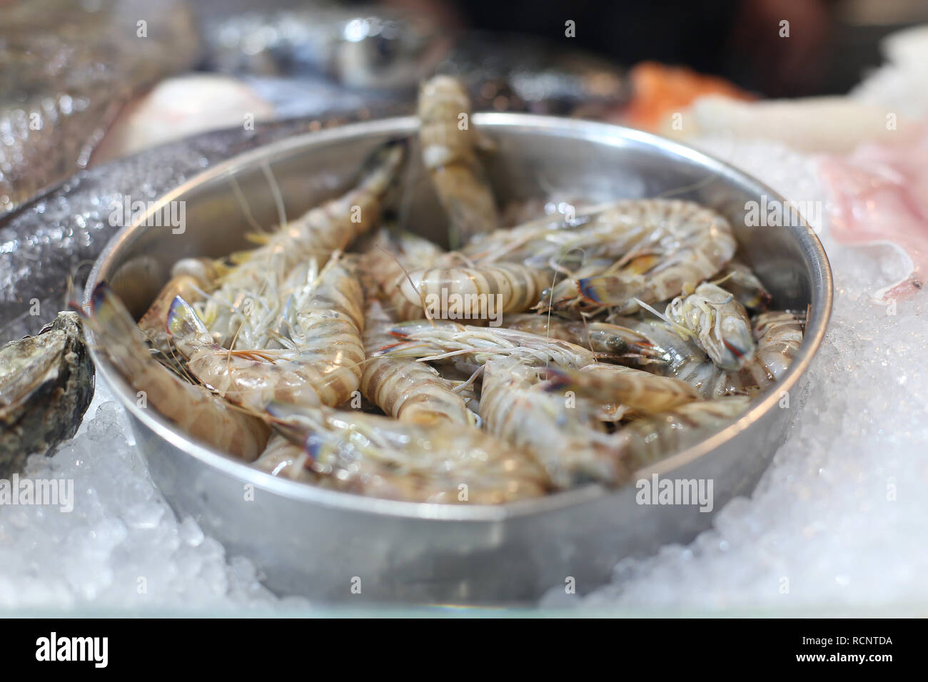 Crevettes grises dans un bol placé sur la glace. Les fruits de mer crus à l'auteurs marché. Ingrédient d'aliments frais. Banque D'Images
