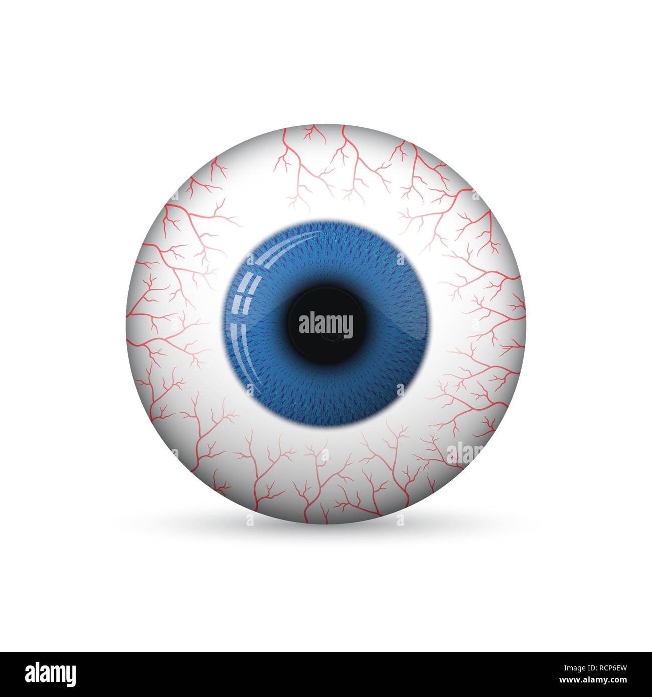 3d brillant des yeux ronds. Vector illustration. L'œil brillant isolé Illustration de Vecteur 3d brillant des yeux ronds. Vector illustration. L'œil brillant isolé Illustration de Vecteur
