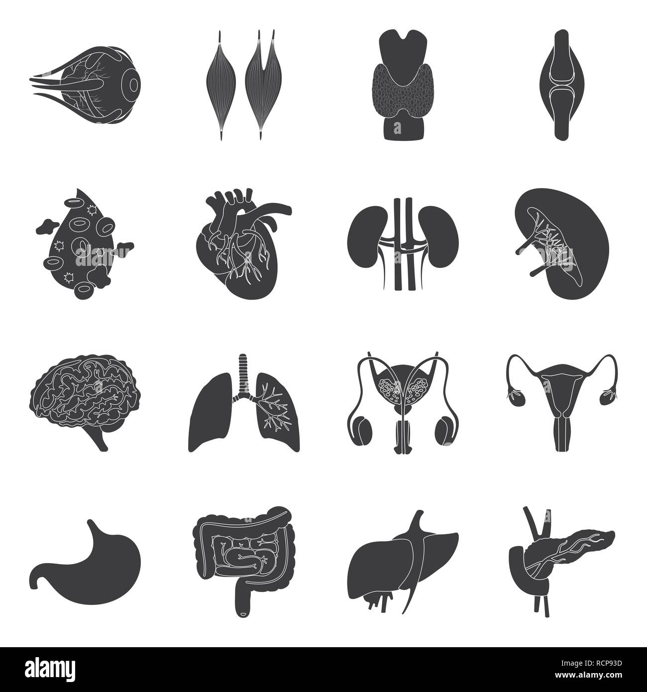 Muscle dorsal,oeil,os,sang,coeur,rein,cerveau,,Poumon Estomac,urinaire,foie,pancréas,oeil,organes,moelle,tendon,plasma,cardiologie,esprit,,trachée,system,tube,perturbateurs cornée,tissu,os,ligament,recherche,laboratoire,anatomie,organe interne,,médical,des,santé,biologie,scientifique,,set,icône,,illustration,collection,isolé,design,graphisme,élément,signer,Black,de simples vecteurs vecteur , Illustration de Vecteur