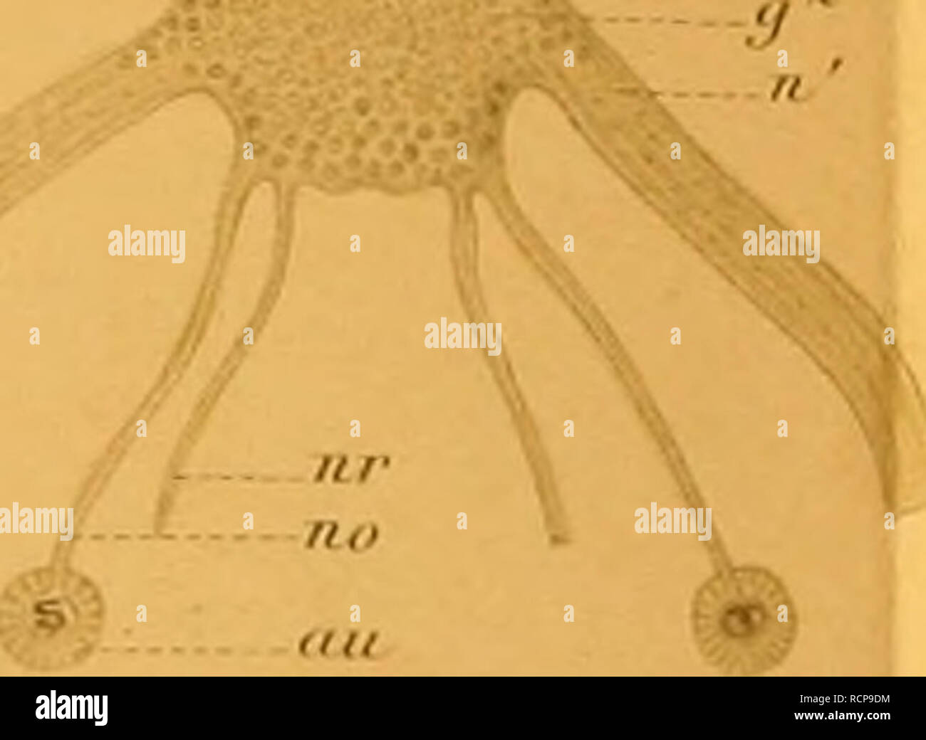 1a A Z May Banque D Image Et Photos Alamy