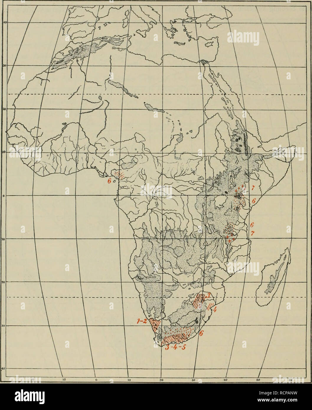 . Die Bienen Afrikas nach dem Stande Kenntnisse unserer heutigen. Les abeilles. g8, i6 H. Fkiese Weitere für Südafrika typische Gattungen und sind Fidelia, Meliturgula, Eticondylops Bekanntwerden Genaueres für wir Herrn Dr. med. H. Brauns à Willowmore verdanken. (Vergl. Karte 8, no 3-5.) Mit Aus- nahme von Meliturgula, die ihre Stellung zwischen Panurgus Meliturga und findet die beiden, erregen anderen durch. Karte 8. Endemische Gattungen der Apidae für Südafrika. (2 Polyglossa Friese und Patellapis Friese 3. Fidelia Friese 4. Emondylops Brauns 5. Meliturgida 6. Sérapis Sm. l^  + t1 7. Friese Samba Banque D'Images