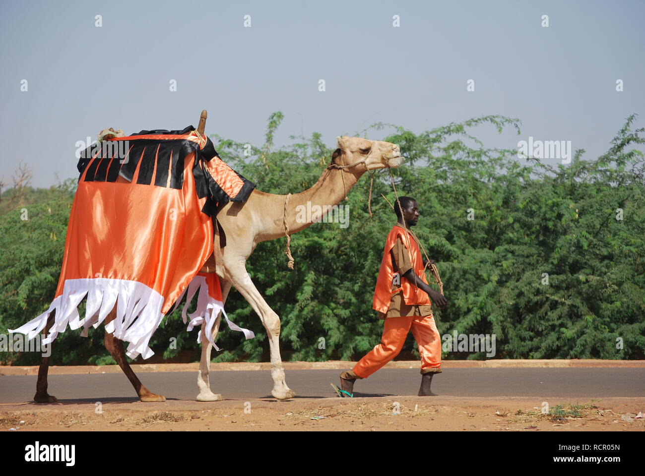 Un homme et son chameau habillé en orange sont à pied d'une publicité pour la compagnie de téléphone 'Orange' à Niamey, au Niger, en Afrique. Banque D'Images