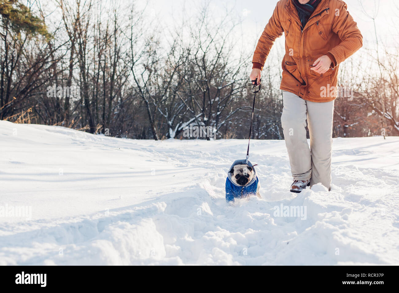 Le PUG dog walking sur la neige avec son maître. Chiot portant manteau d'hiver. Vêtements pour animaux Banque D'Images