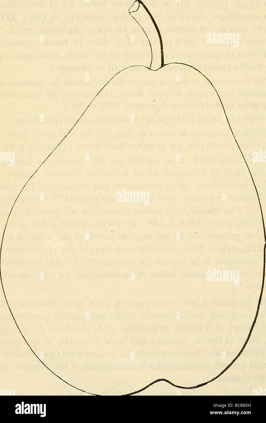 . Dictionnaire de mairie (Kiel) : contenant l'histoire, la description, la figure des fruits anciens et des fruits modernes les plus gÃ©nÃ©ralement connus et cultivÃ©s. Les fruits. 57^ COL [COLMAR] ALO voudrois pas/ donner ce conseil pour tout autre climat que celuy d'autour de Paris, qui est moins chaud que dans certaines provinces. Â" [Le Sardinier solitaire, pp. 30 et 31.) L'espalier est d'autant plus pour cet arbre, que les poires qu'il donne se dÃ©tachent aisÃ©ment, mÃªme sous lui vent peu violents. Et quant Ã ces derniÃ¨res, il est bon de noter que la couleur d'abord verte, de leur peau, col Banque D'Images