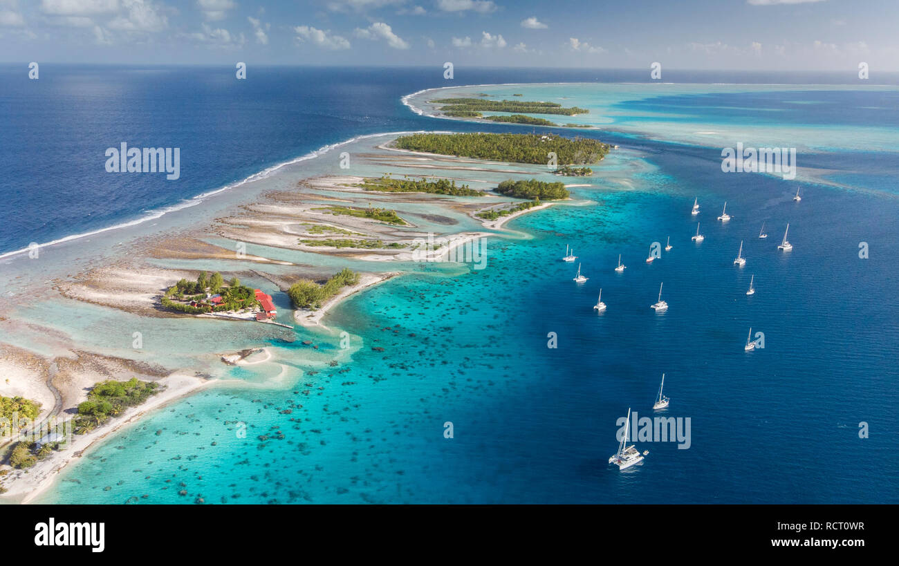 Petite île dans l'atoll de Rangiroa, Tuamotu, Polynésie Française Banque D'Images