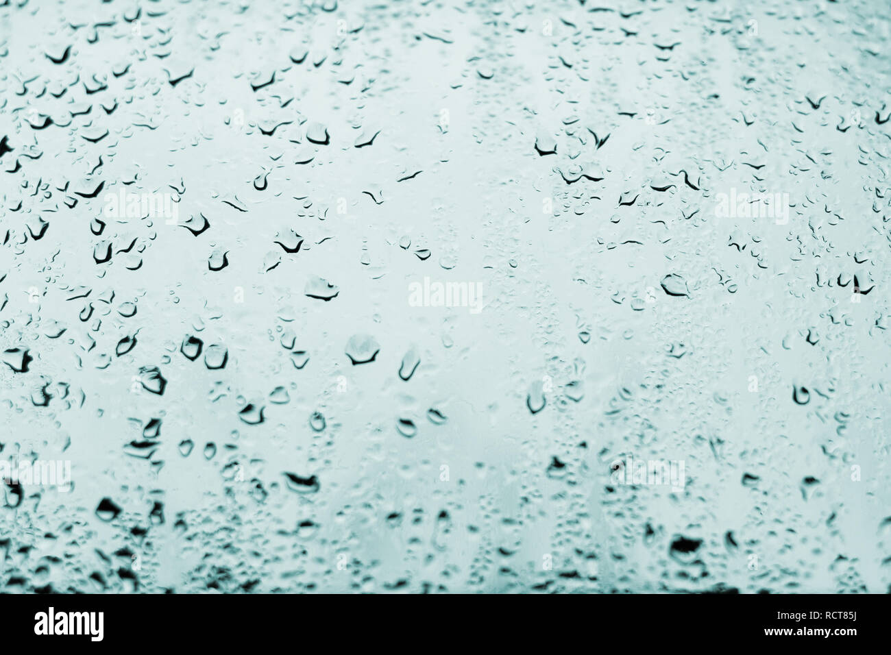 Un contraste élevé photo de gouttes de pluie sur une vitre de la fenêtre avec la lumière de couleur bleu cobalt pâle Banque D'Images