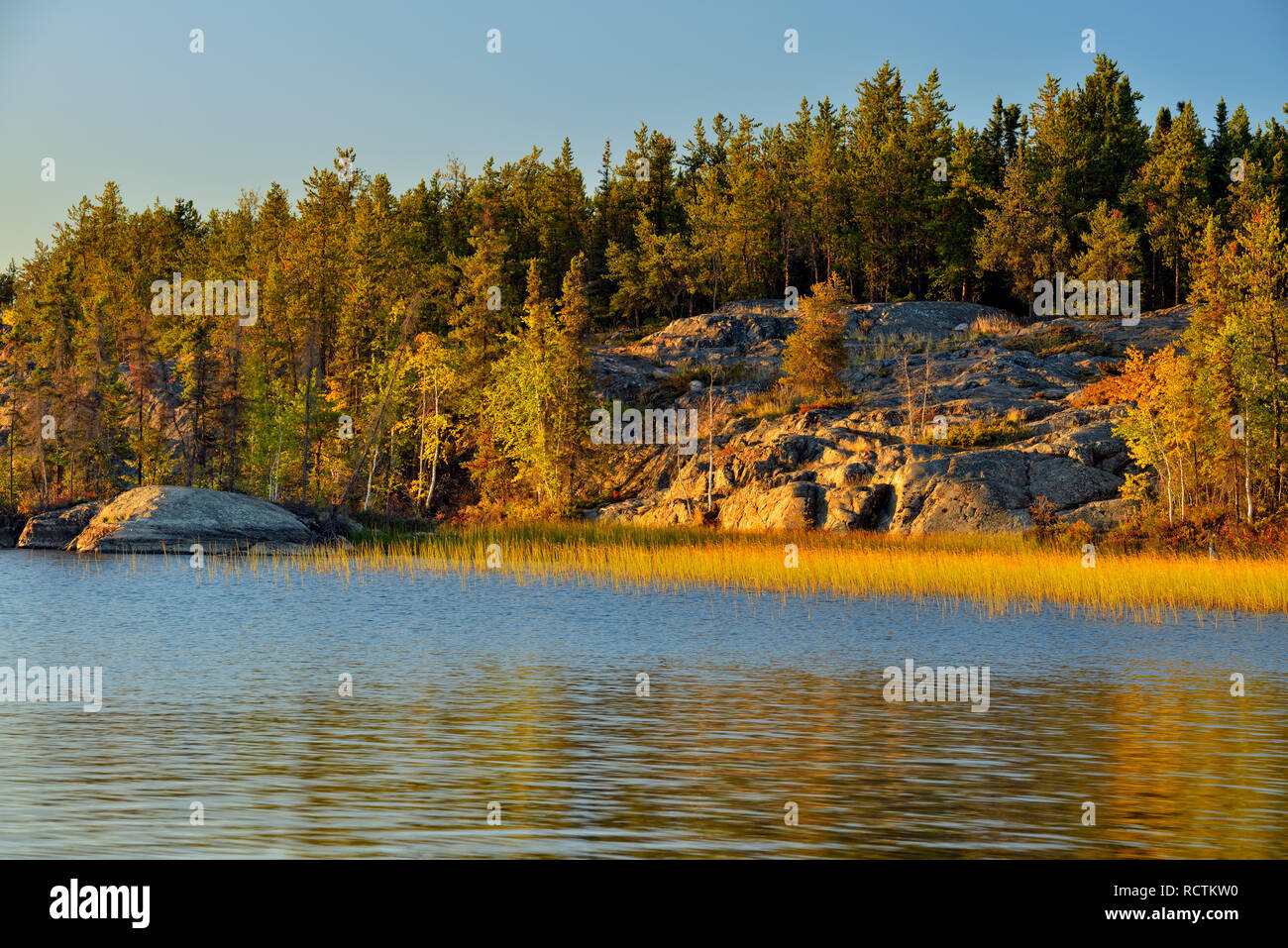 Rivage du lac Long, Fred Henne Territorial Park, Yellowknife, Territoires du Nord-Ouest, Canada Banque D'Images