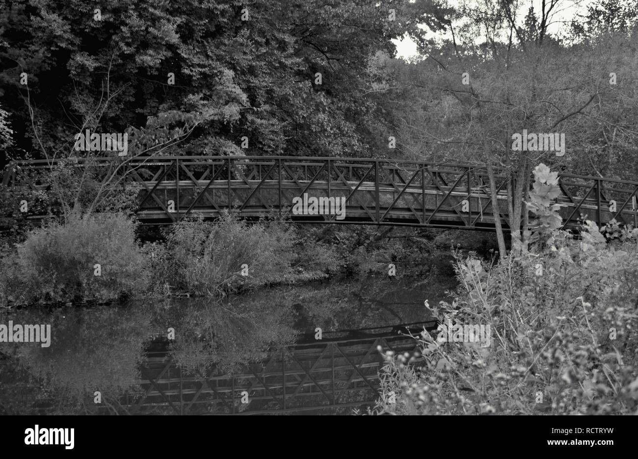 Petit pont pour piétons passant sur un petit ruisseau, Springfield, Virginie, USA Banque D'Images