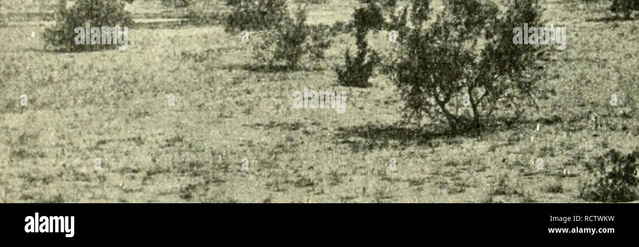 Der Bauer Photos Der Bauer Images Alamy