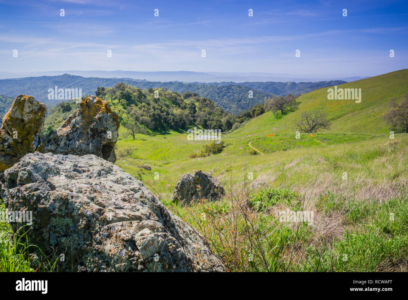 Rochers couverts de lichen à côté d'un sentier dans Henry W. Coe State Park, Californie Banque D'Images