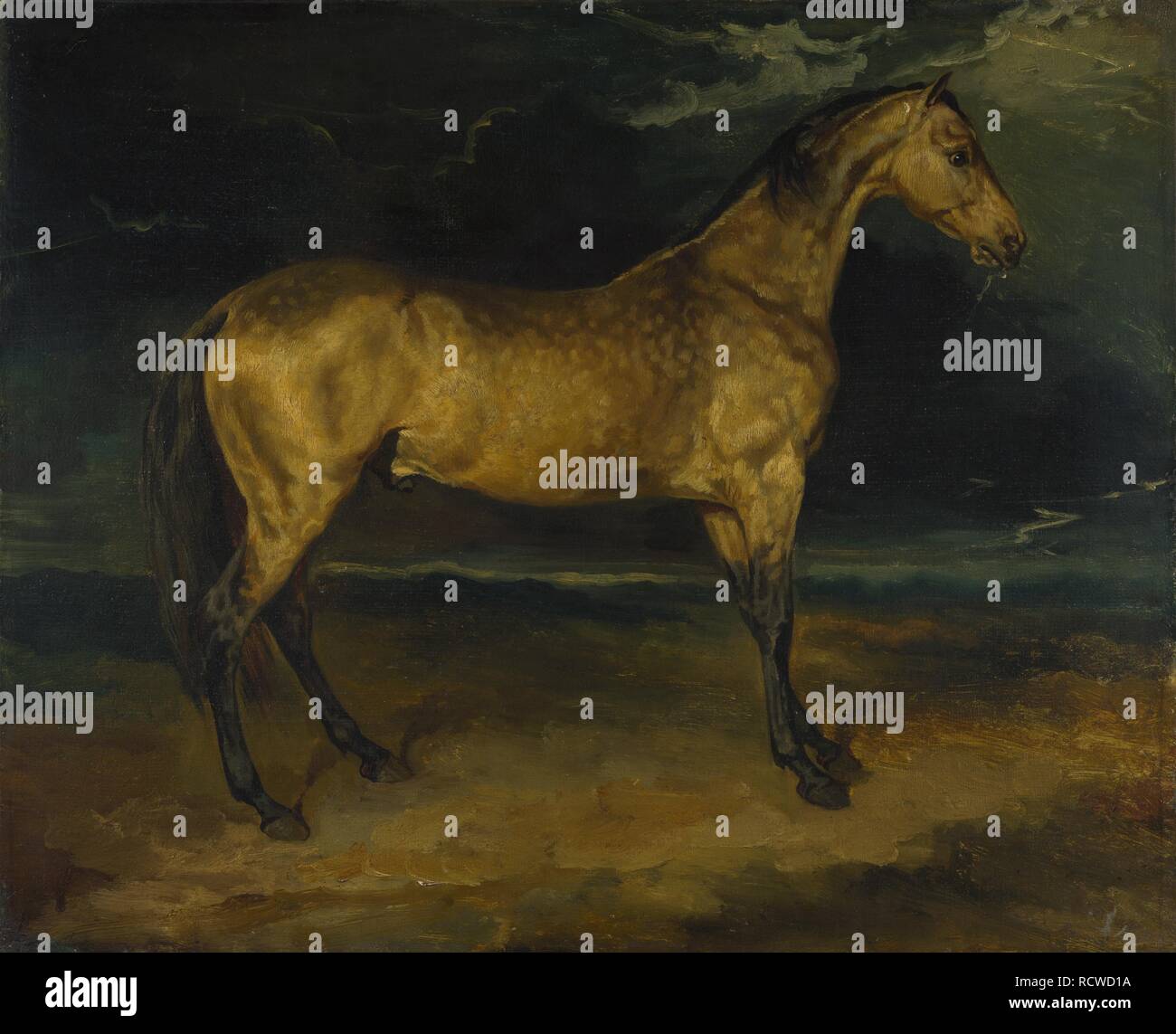 Un cheval effrayé par la foudre. Musée : National Gallery, Londres. Auteur : GERICAULT Théodore. Banque D'Images