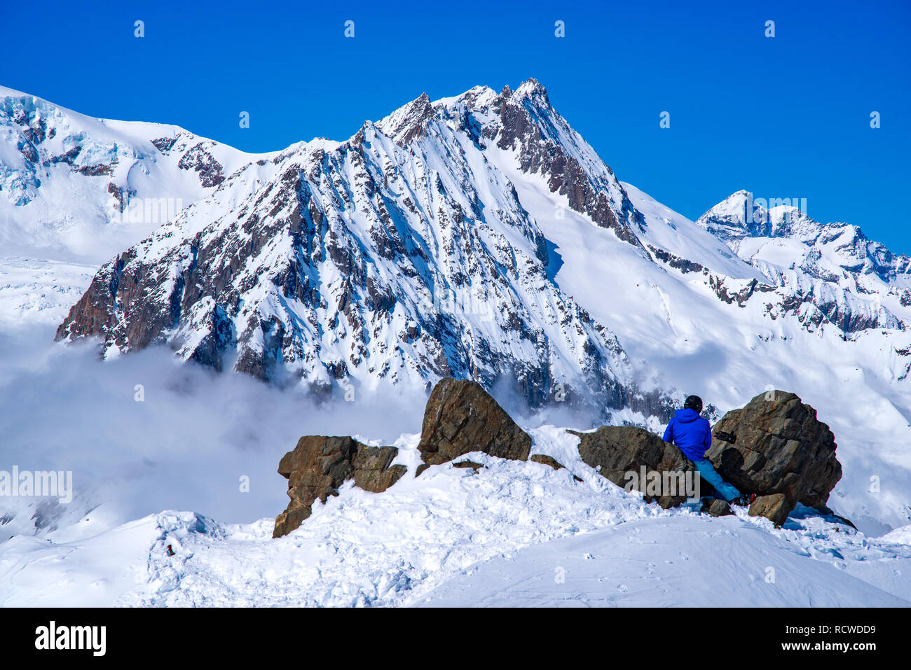 Vue sur le glacier d'Aletsch, Eggishornn,, Suisse Banque D'Images