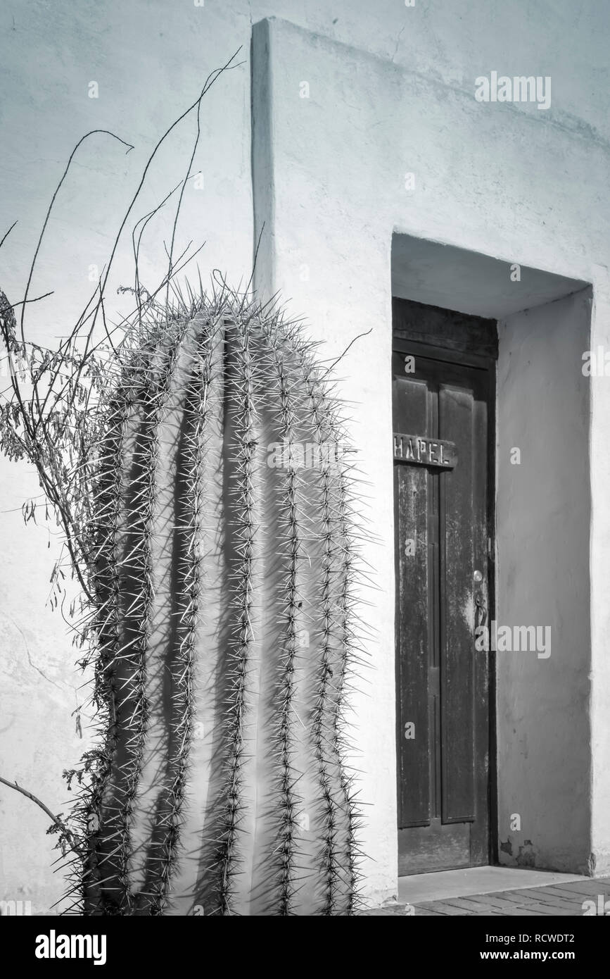 Un saguaro cactus près de l'entrée de l'ancien bâtiment de style espagnol blanc avec porte en bois usés en noir et blanc Banque D'Images