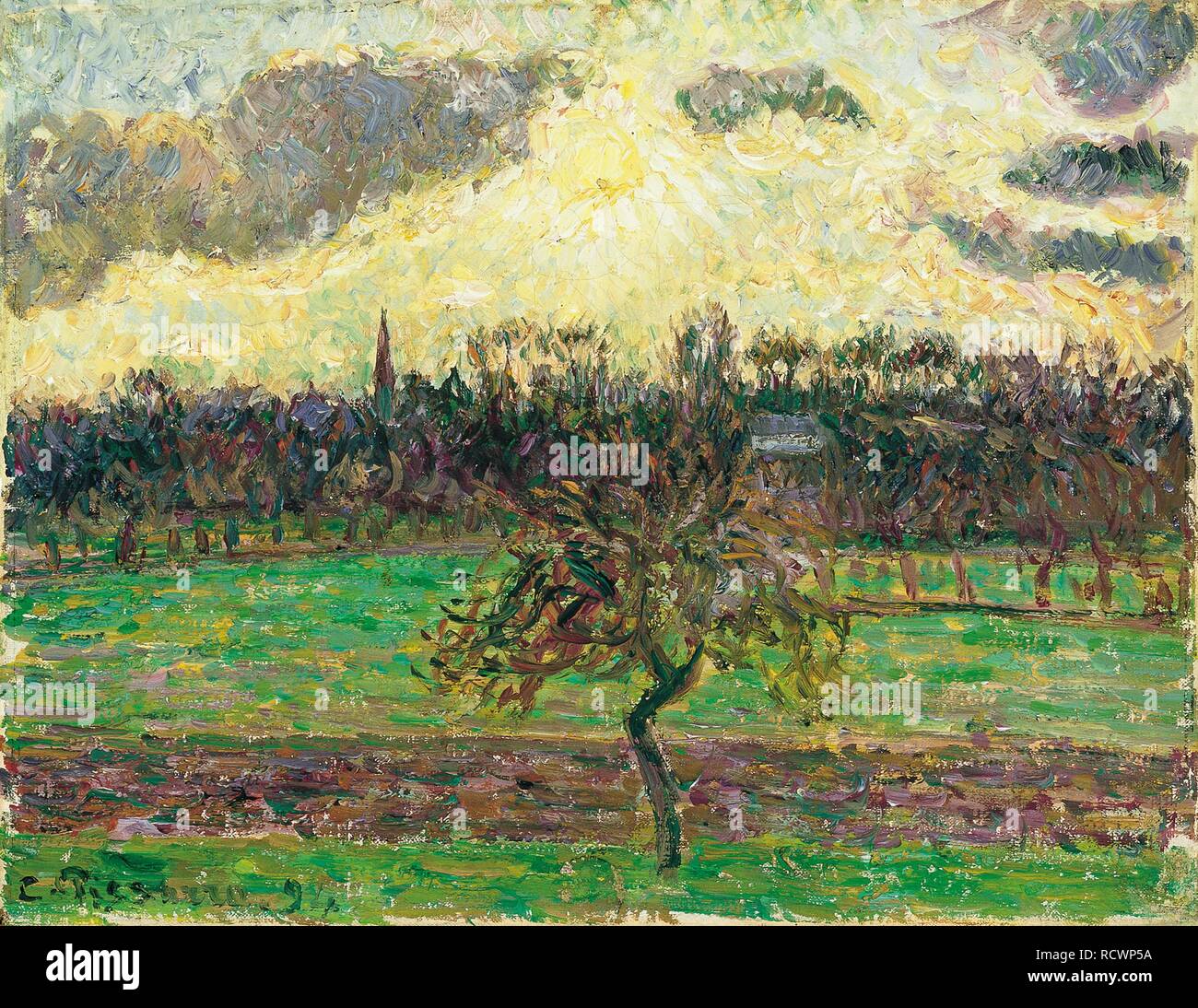 Le Meadows, à Éragny, Apple Tree. Collections du Musée : Musée Thyssen-Bornemisza. Auteur : PISSARRO, Camille. Banque D'Images