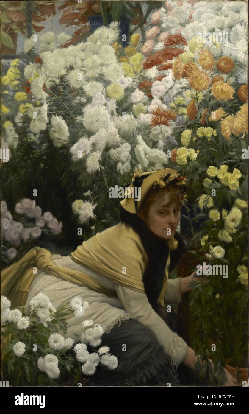 Chrysanthèmes. Musée : Clark Art Institute, Williamstown, Massachusetts. Auteur : James Jacques Joseph Tissot,. Banque D'Images