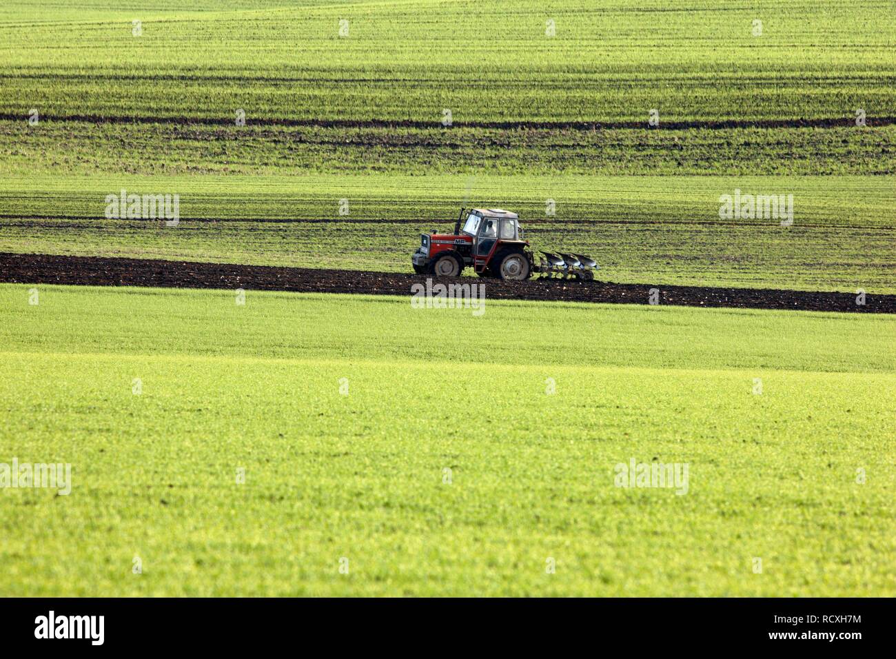 Le hersage du tracteur d'un champ, la préparation du sol pour les semis de cultures nouvelles, Eschweiler, Rhénanie du Nord-Westphalie Banque D'Images