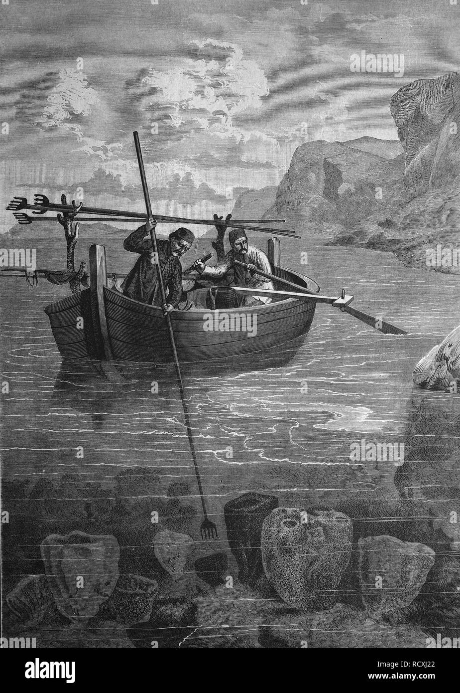 Gravure historique, la pêche aux éponges en Dalmatie, 1888 Banque D'Images