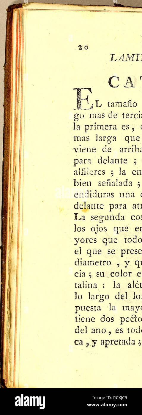 . Descripcion diferentes de piezas de historia natural las mas del ramo maritimo, : representadas en setenta y cinco lames.. Animaux marins ; l'histoire naturelle. LAMINA XII. Figure i. CATALUFA. L tamaño de este Pescado será de al- rendez-mas de tercia ^ tiene dos cosas singulares ? La primera es, que la qualité inférieure mandíbula es mas larga que la chambre , que viene La Boca de arriba á bajo inclinada un poco para delante 5 los dientes de Côme puntas de bolsitas ^ la l'encía de la mandíbula inférieur, bien señalada 5 ¡mandibuía debajo de un dos endiduras cada una de lado, qué vienen de delante para atrás , y de Banque D'Images