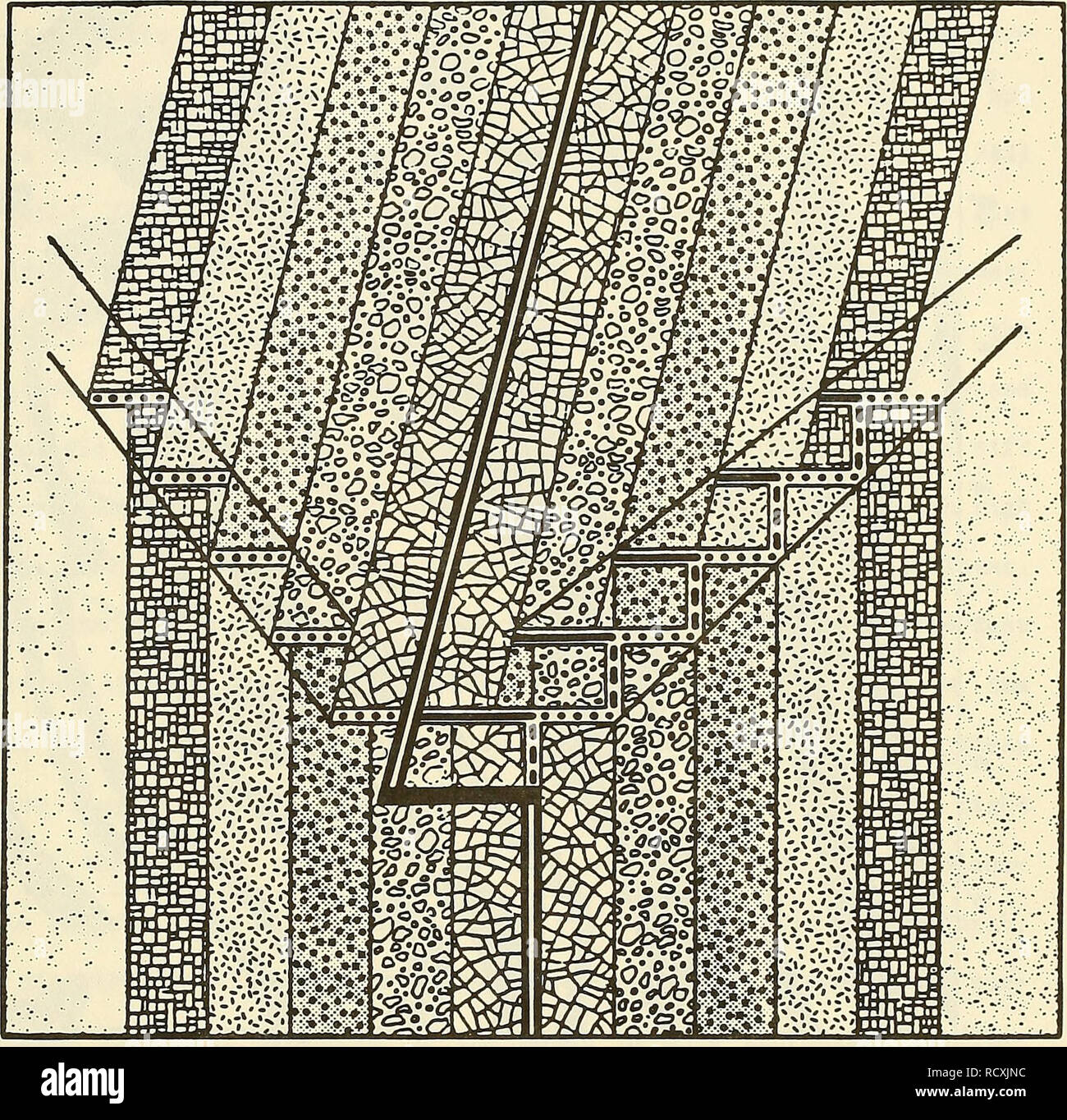 . La description, l'analyse et les prévisions de la rugosité du fond marin à l'aide de modèles spectraux. Fond de l'océan ; la géologie sous-marine. Figure 5-8 Représentation schématique (de Hé, 1977) du motif de fond de l'isochrone résultant d'une propagation vers le sud rift. Deux lignes représentent les centres d'expansion active, les lignes en tirets sont combustibles, des centres d'expansion de la ligne est active, défaut de transformation et des pointillés sont associés les zones de fractures. Les lignes de tendance diagonale indiquent la soi-disant "propagator service".. Veuillez noter que ces images sont extraites de la page numérisée des images qui peuvent avoir été digita Banque D'Images