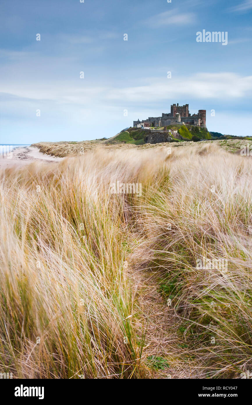 En Angleterre, Northumberland, Château de Bamburgh, herbe. Une longue exposition sur soirée d'été terne alors que sur les dunes de la côte de Northumberland à t Banque D'Images