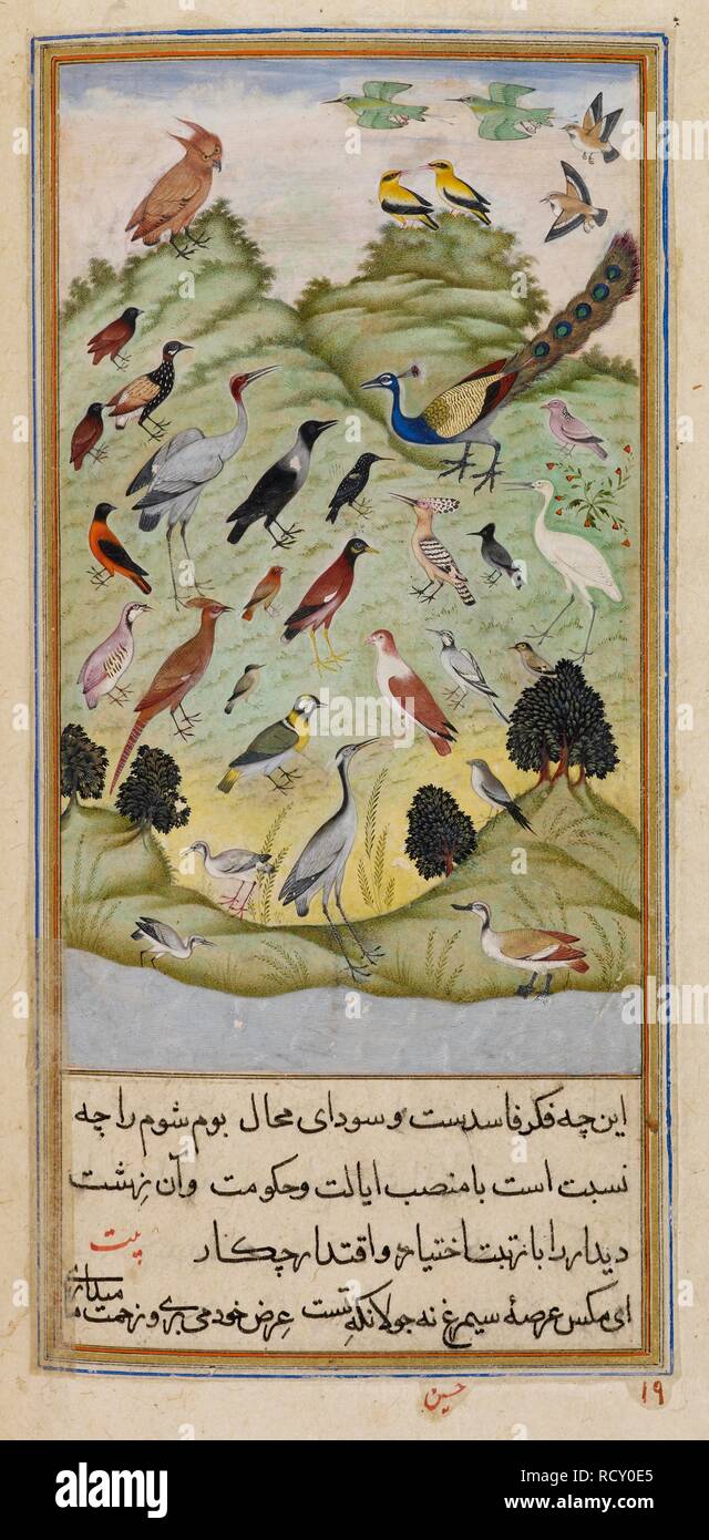 Une assemblée d'oiseaux. L'Anvar-i Suhayli. L'Inde, 1610-1611. Le Crow décider si l'owl devrait conduire l'assemblée d'oiseaux. Une peinture miniature d'un manuscrit du 17ème siècle de l'Anvar-i Suhayli, une version de l'Kalila va Dimna fables. Image prise à partir de l'Anvar-i Suhayli. Publié à l'origine/produit en Inde, 1610-1611. . Source : ajouter. 18579, f.201v. Langue : Persan. Auteur : Husayn. Husayn Va'iz Kashifi. Banque D'Images