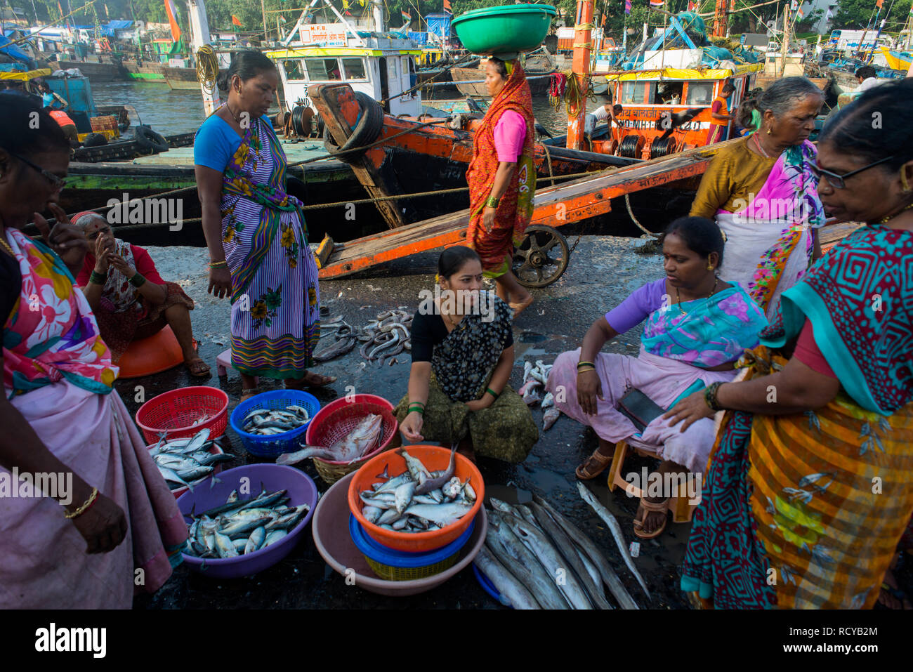 Les femmes vendent du poisson à quai à Mumabi Sassoon Banque D'Images