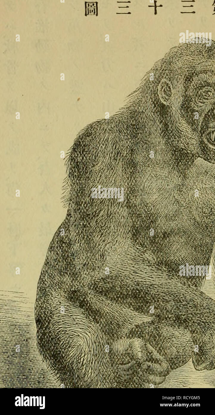 Dbutsugaku Zasshi Zoologie Zoologie Aºeac C C Ac Aºa E Aººaºa a Aeae A A E ººaeª Eªa ºaeaªa A C ªa A E E C A A C C A Gorillac A A A ºasa A Severnaƒ C A Ae Y A I e Eaae A A A A º Aªi Oa A A C C A Dbutsugaku Zasshi Zoologie Zoologie Aºeac C C Ac Aºa E Aººaºa a Aeae A A E ººaeª Eªa ºaeaªa A C ªa A E E C A A C C A Gorillac A A A ºasa A Severnaƒ C A Ae Y A I e Eaae A A A A º Aªi Oa A A C C A