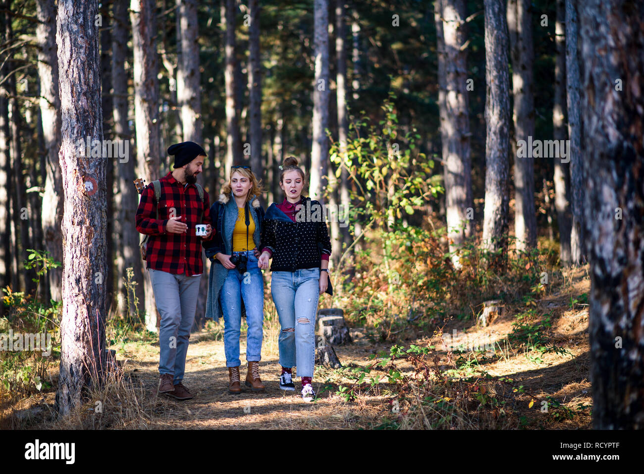 Groupe d'amis en randonnée dans la forêt Banque D'Images