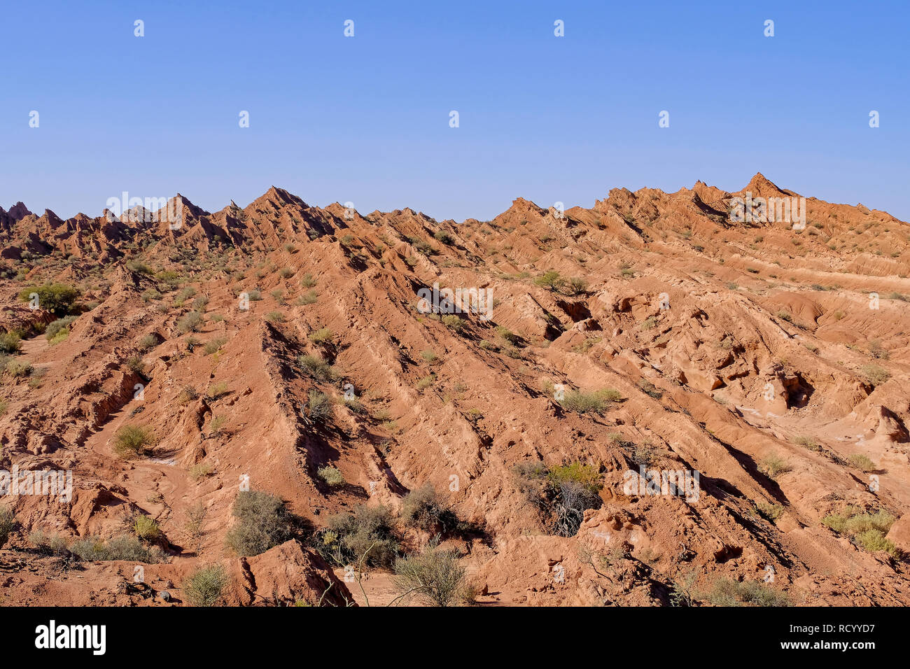 Le pliage et la colonne hexagonale naturel des montagnes, canyon de Cuesta del Viento, Rodeo, San Juan, Argentine Banque D'Images