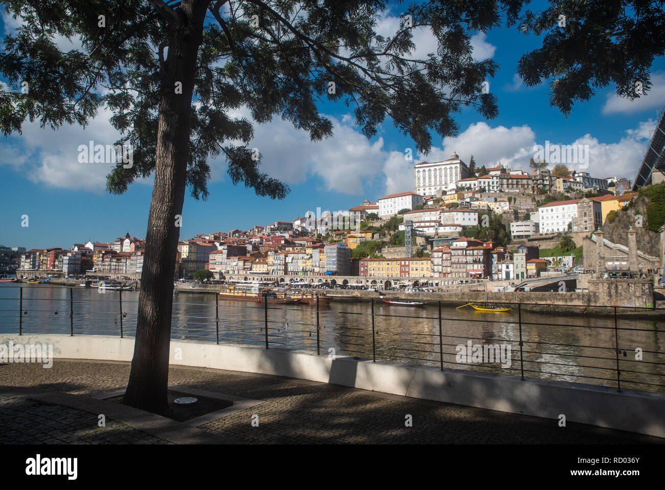 Maisons colorées de la place Ribeira situé dans le centre historique de Porto, Portugal le long de la rivière Douro Banque D'Images