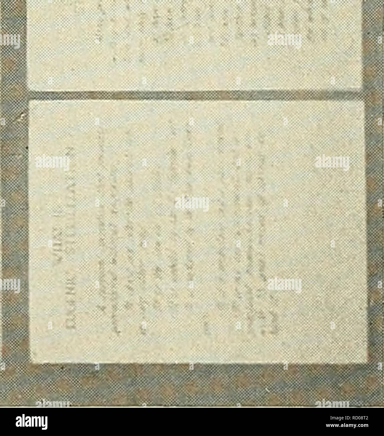 . Une décennie de progrès dans l'eugénisme ; documents scientifiques du troisième congrès international d'eugénisme, tenue au Musée Américain d'histoire naturelle, New York, août 21-23, 1932 ... Commission de publication, Harry F. Perkins, président ... Harry H. Laughlin, secrétaire. L'eugénisme. 2 Q. Veuillez noter que ces images sont extraites de la page numérisée des images qui peuvent avoir été retouchées numériquement pour plus de lisibilité - coloration et l'aspect de ces illustrations ne peut pas parfaitement ressembler à l'œuvre originale.. Congrès international de l'Eugénisme (3e : 1932 : New York) ; Perkins, Henry Farnham, 1877- ; Laughlin, Banque D'Images