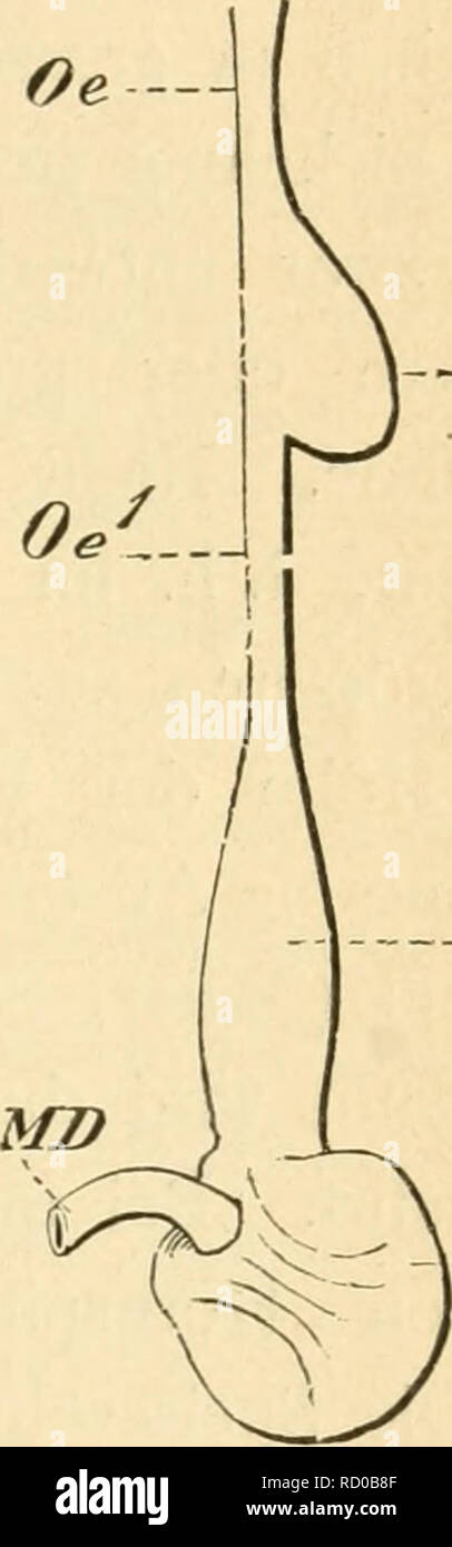 Get Ohne worte bedeutung For Android Ohne Worte Bedeutung