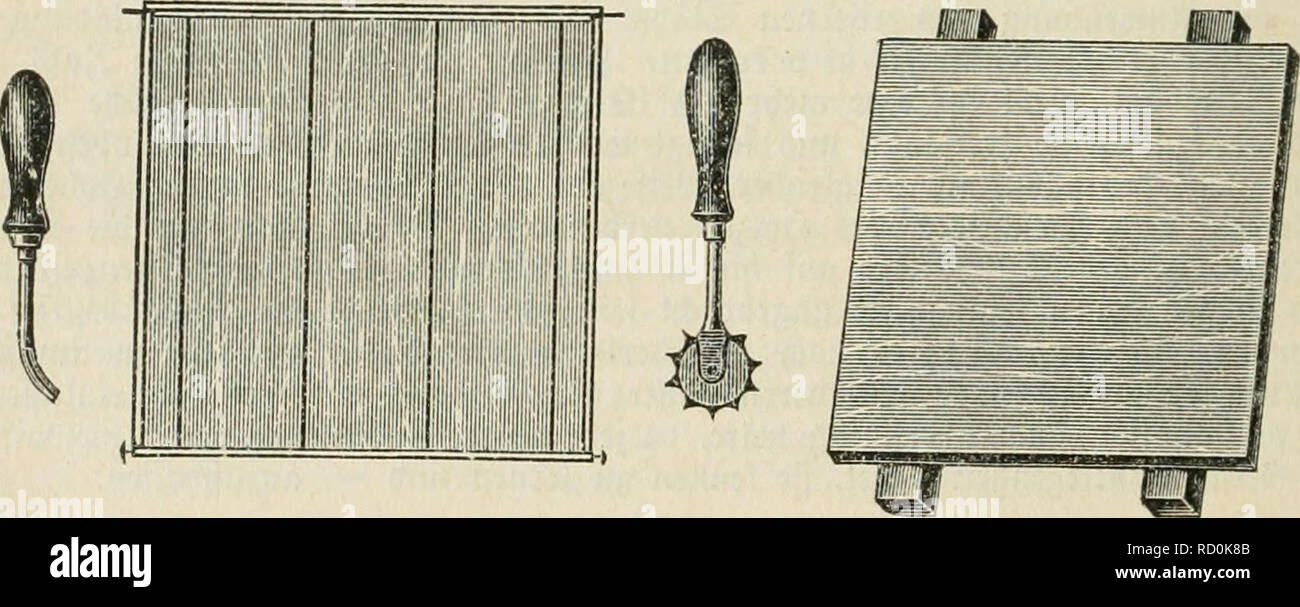 . Das Buch von der biene. Les abeilles ; la culture de l'Abeille. 304^SBicnenmol nungen. oberen 2)un nttel Braifctjenftob öon 6-8 mm 53reite ]o ansubringen^, ha er nur§ SOJitte bi auf bie ©eitenjdienfel^gel ber t Üinftlic^er unb bie e SJJittelroanb berüf auf einer Seite)rt. ^albftab joldier öin giebt SBabe nötigen ber ben ^alt, i[t ober babei ber ^u"bet)nung être§§ rutnefte S3nid)t t)) inberlid ßtt ganger wie ein'ijdienftQb, ha er piste eingebaut unb wirb auf einer Seite eine ööllig ununterbrod (ENE) öabenfläd üort 2)e)anben fit. Dans ineitereg SRittel @ha,^ 8 re(J)ber en SSaben dans @ro|ra-^meu p öer = l)inbern§, ift ha& Banque D'Images