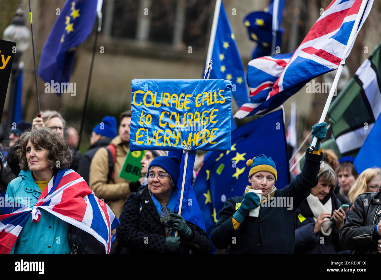 Londres, Royaume-Uni - 15 janvier 2019 : les militants anti Brexit rally devant les Maisons du Parlement à Westminster sur l'brexit traiter vote Banque D'Images