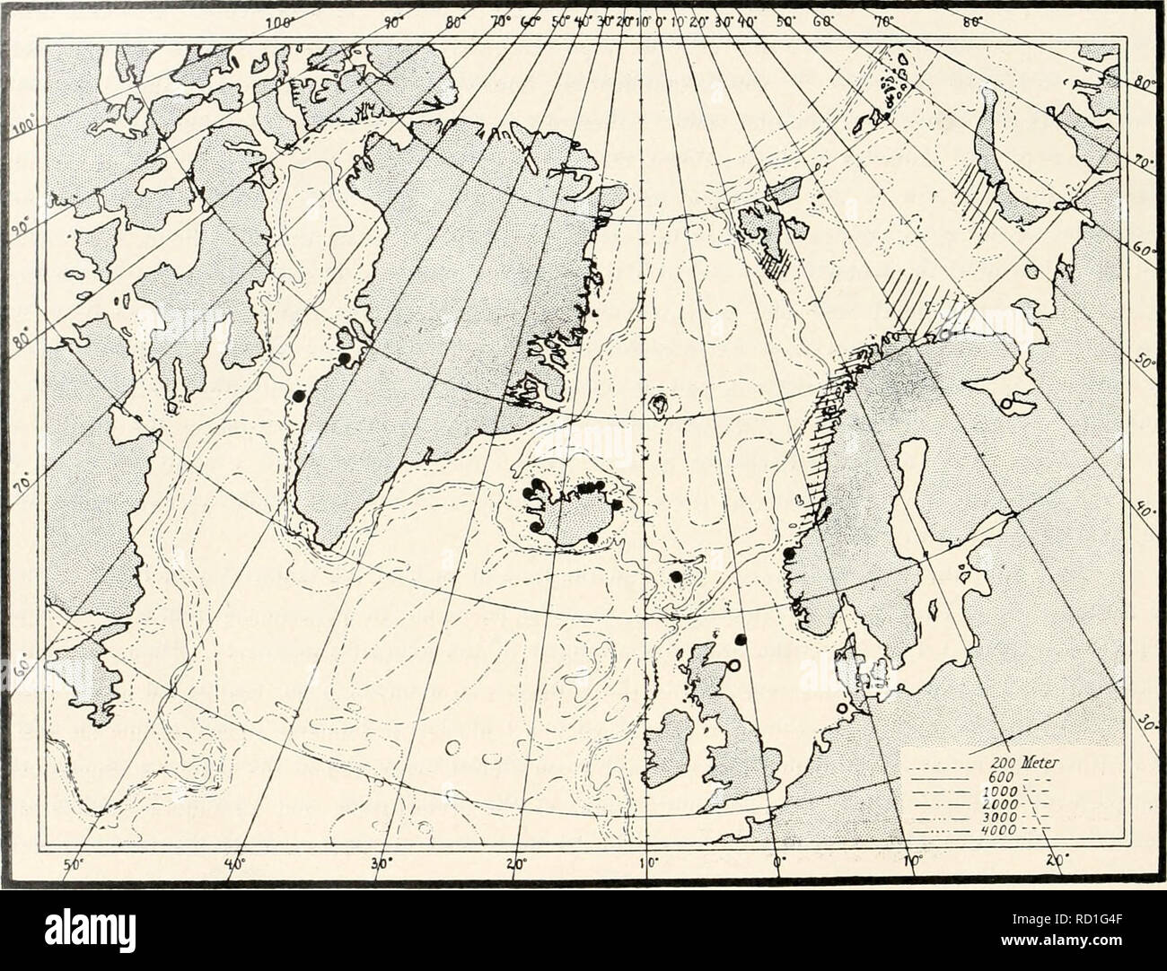 . Le Ingolf-Expedition danois. Expéditions scientifiques ; l'océan Arctique. 44 MÉDUSE. I. Matériel (voir le tableau IV). Groenland : i) - Egedesminde. Bergendal. - I modèle, détruite par l'acide osmique. 2) - Egedesminde. Traustedt. - I modèle, d'environ 5 cm de large. 3) - lat. 66°O6' N., Long. 54°27' ouest, le détroit de Davis, au large du sud Stromfjord. Le 28 août 1908. Ringtrawl, 150 m sur le fil. « Tjalfe" stat. 223. - 2 exemplaires, 4,5 et 5,5 cm de large.. Graphique IV. Trouve de Stmirophora rtensii mi-Brandt dans le nord de l'Atlantique. O : et de l'éclosion survenue en fonction de l'hterature. 4) - lat. 66°oi' N., Long. 54°23' Banque D'Images